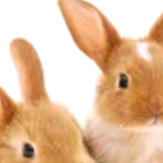 四川渠县农民工殷哥1975🐇