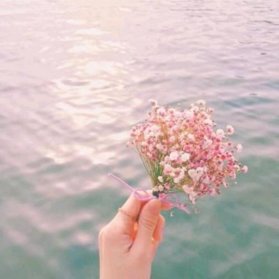 佳乐(鑫发花苑店)官方号