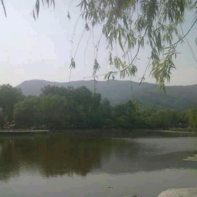 ⚜️鹤舞清风⚜️