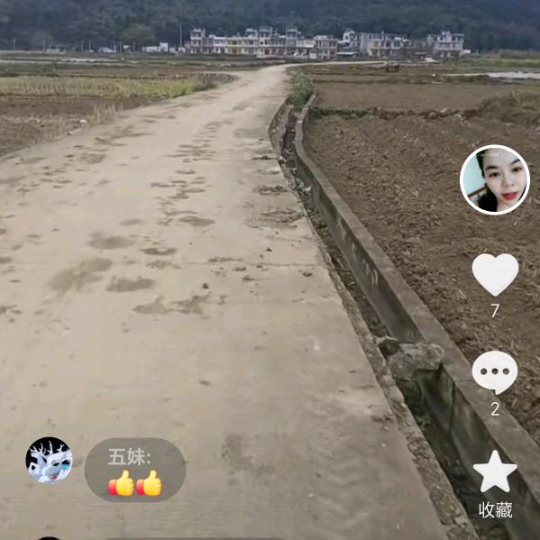 华飞
