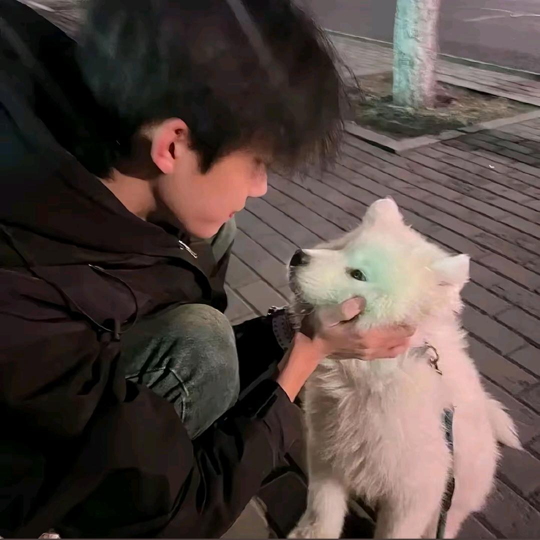 寻幸.