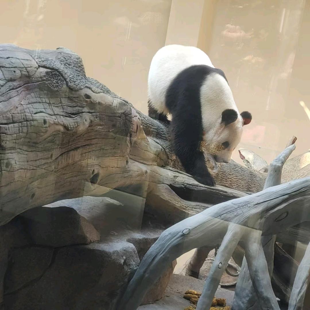 小星星⭐️