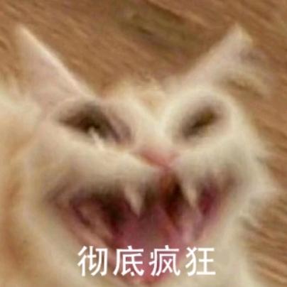 猫不吃蛋黄