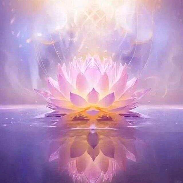 用户86526862569525