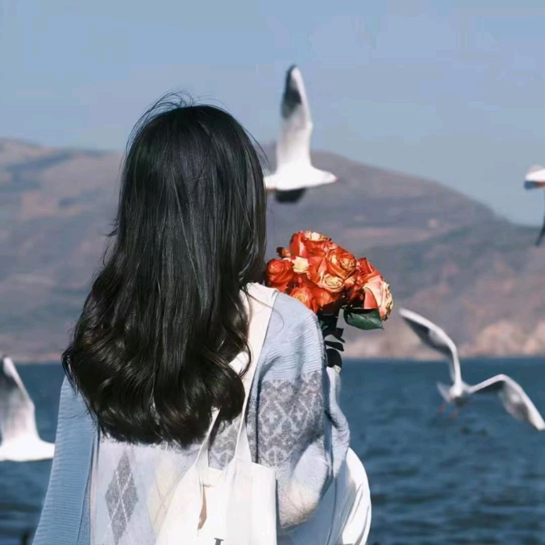Su苏优选