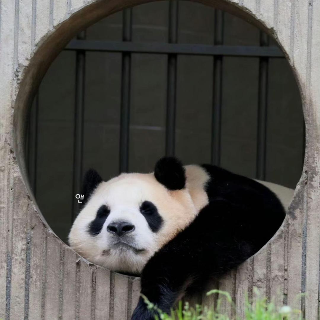 一见倾心张先生