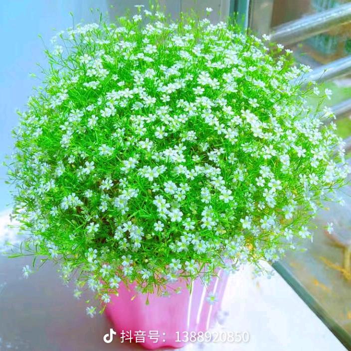浪子天涯