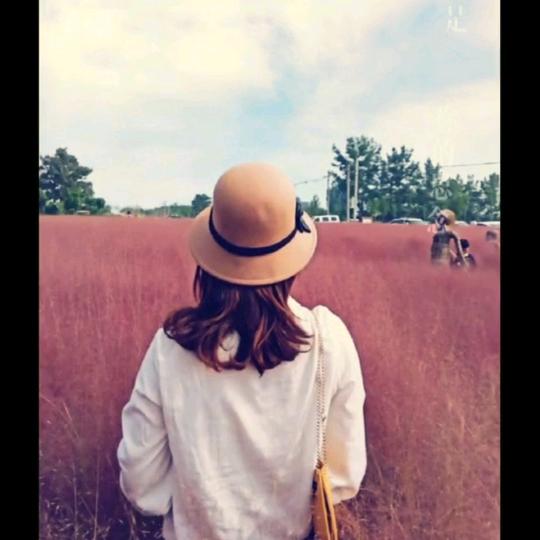 ( ͡° ͜ʖ ͡°)简爱☆