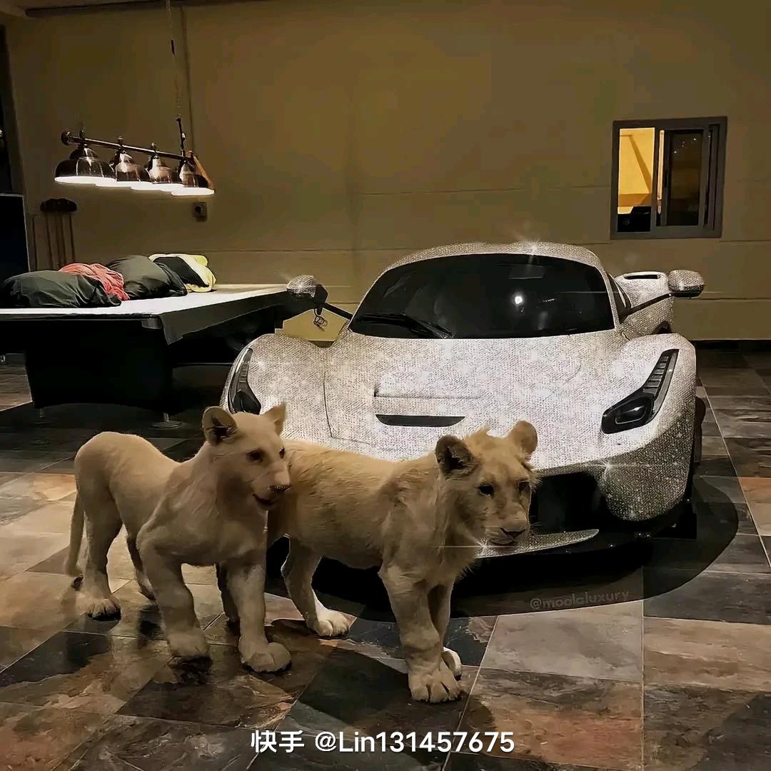 从此君王不早朝