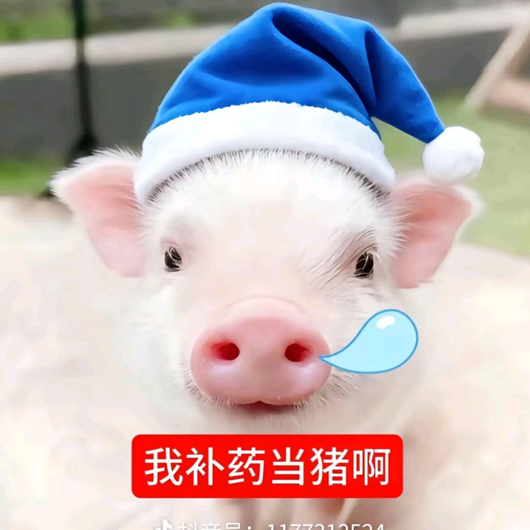 森子先生拜托了