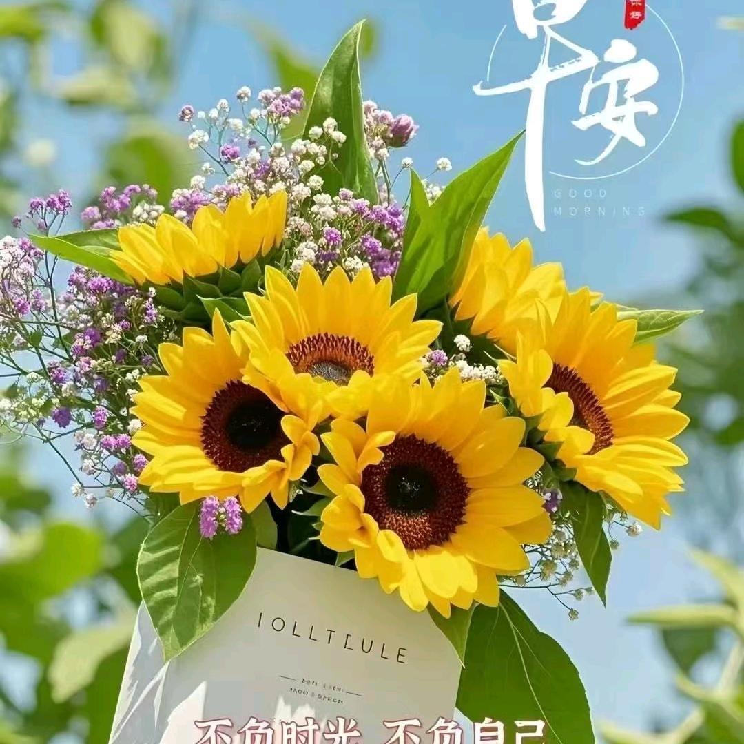 去了又来