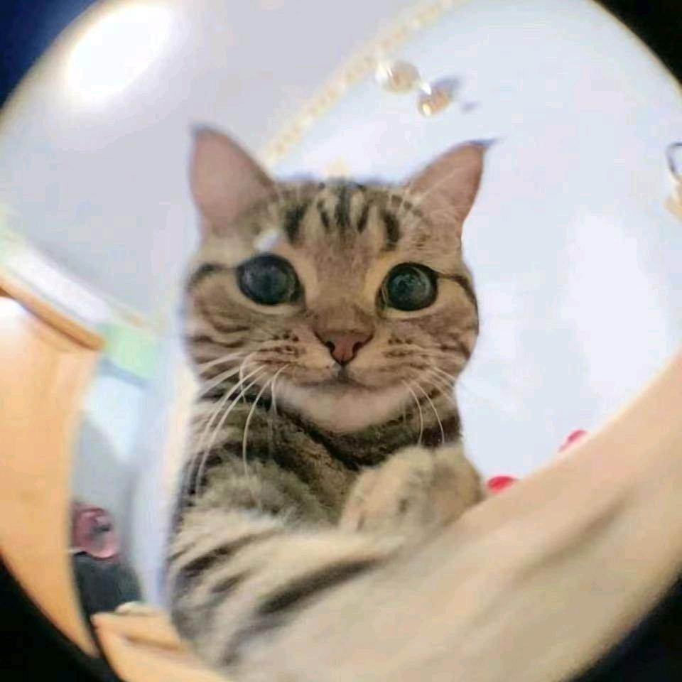 大宝