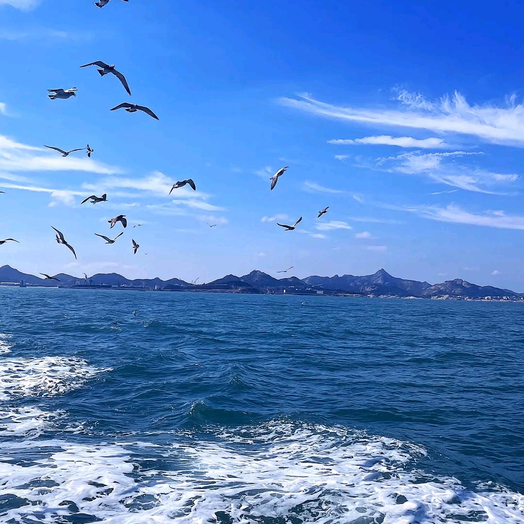 蓝蓝的天空……
