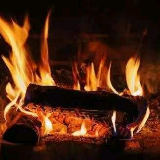 健步休闲鞋特卖