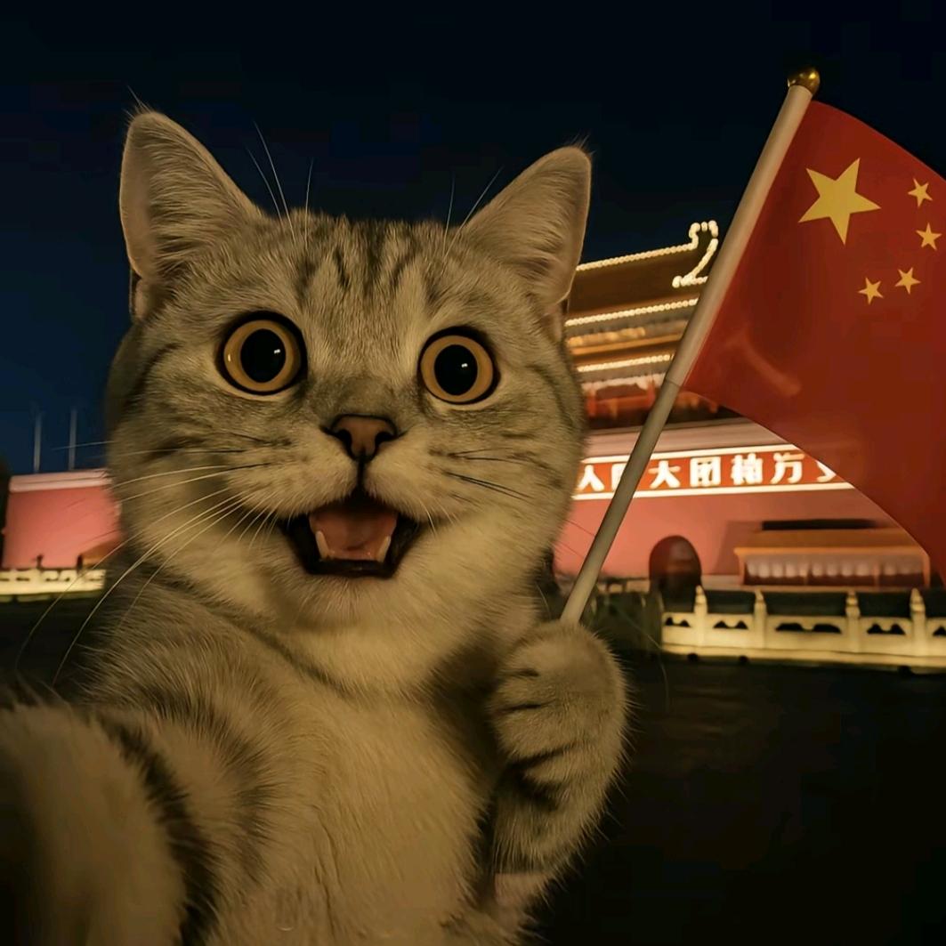 小浣熊猫