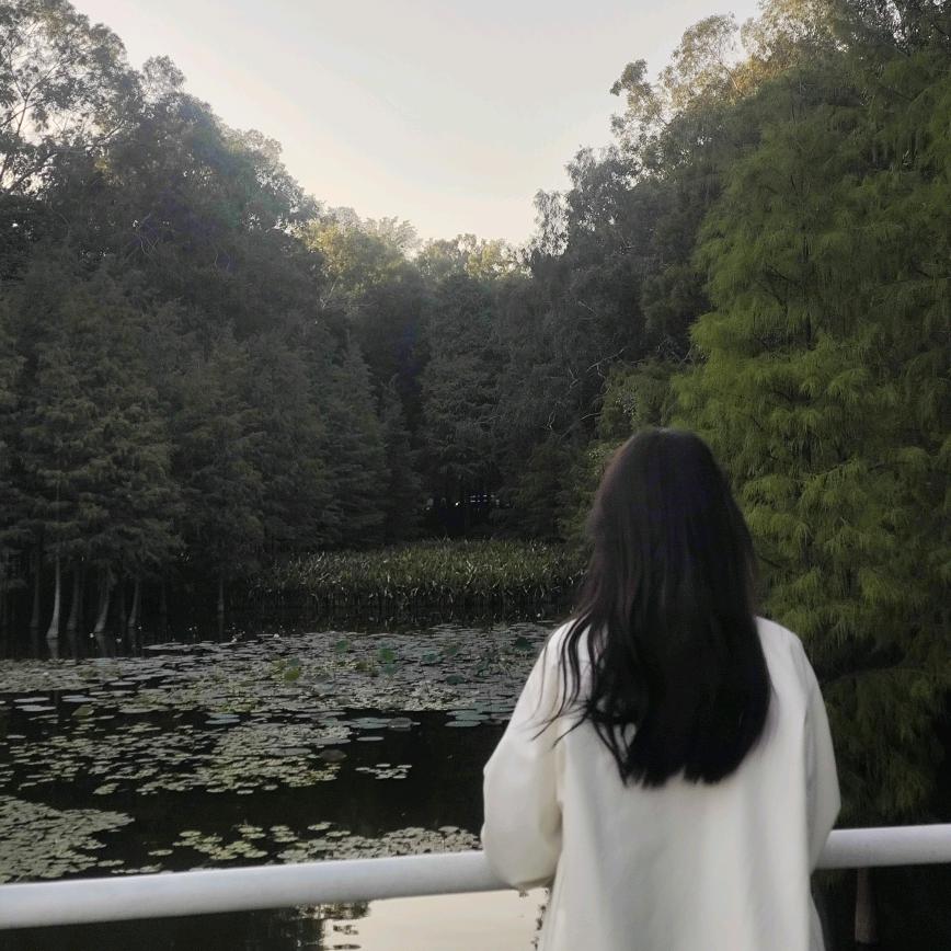 小叶子
