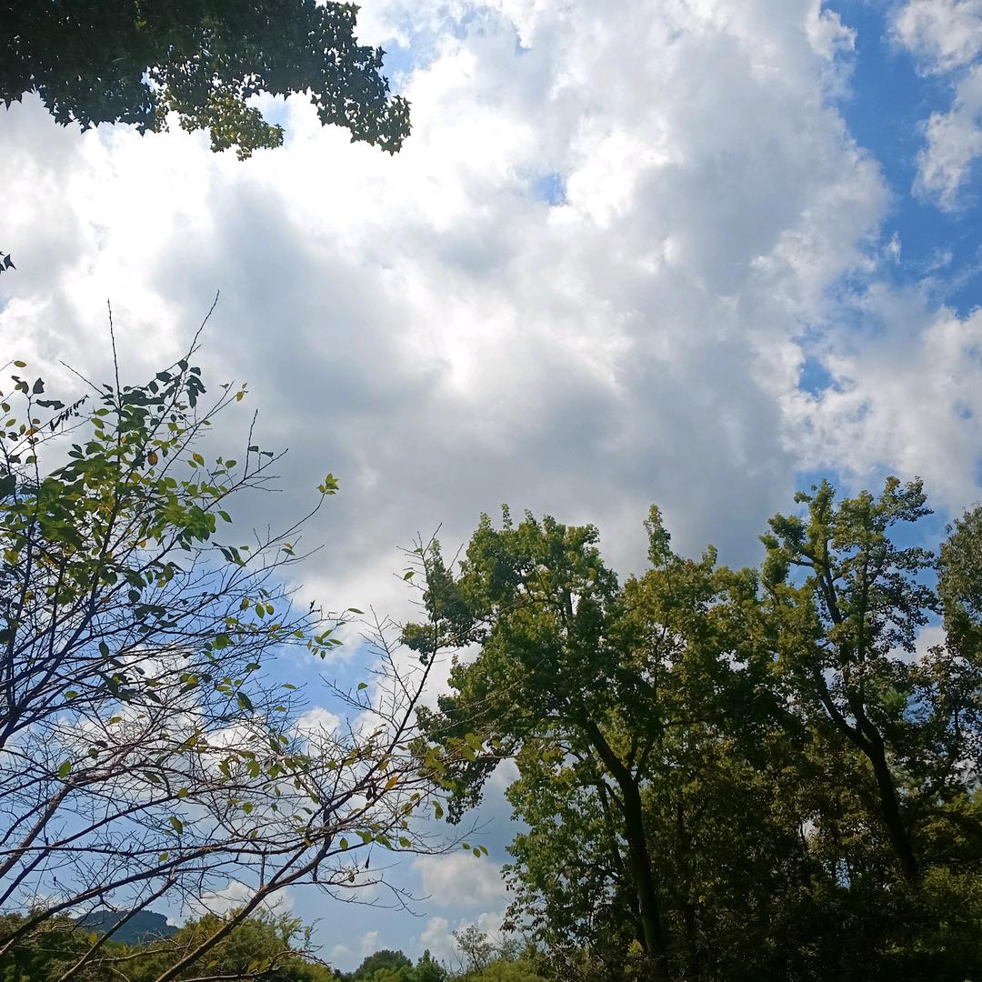 方龙力
