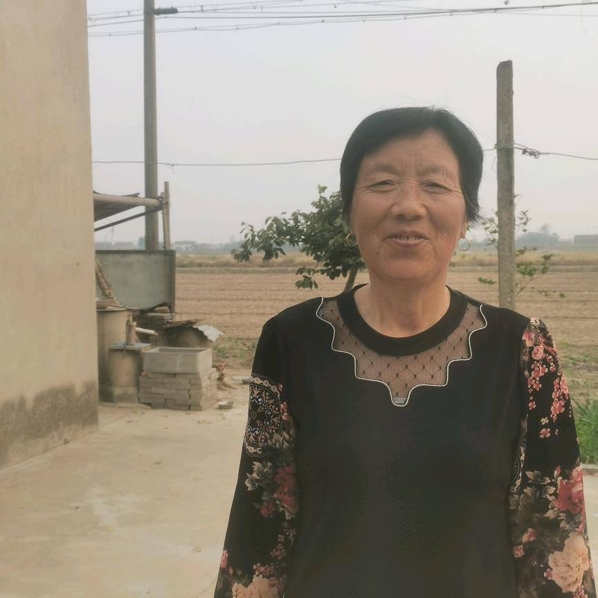 杨根兄