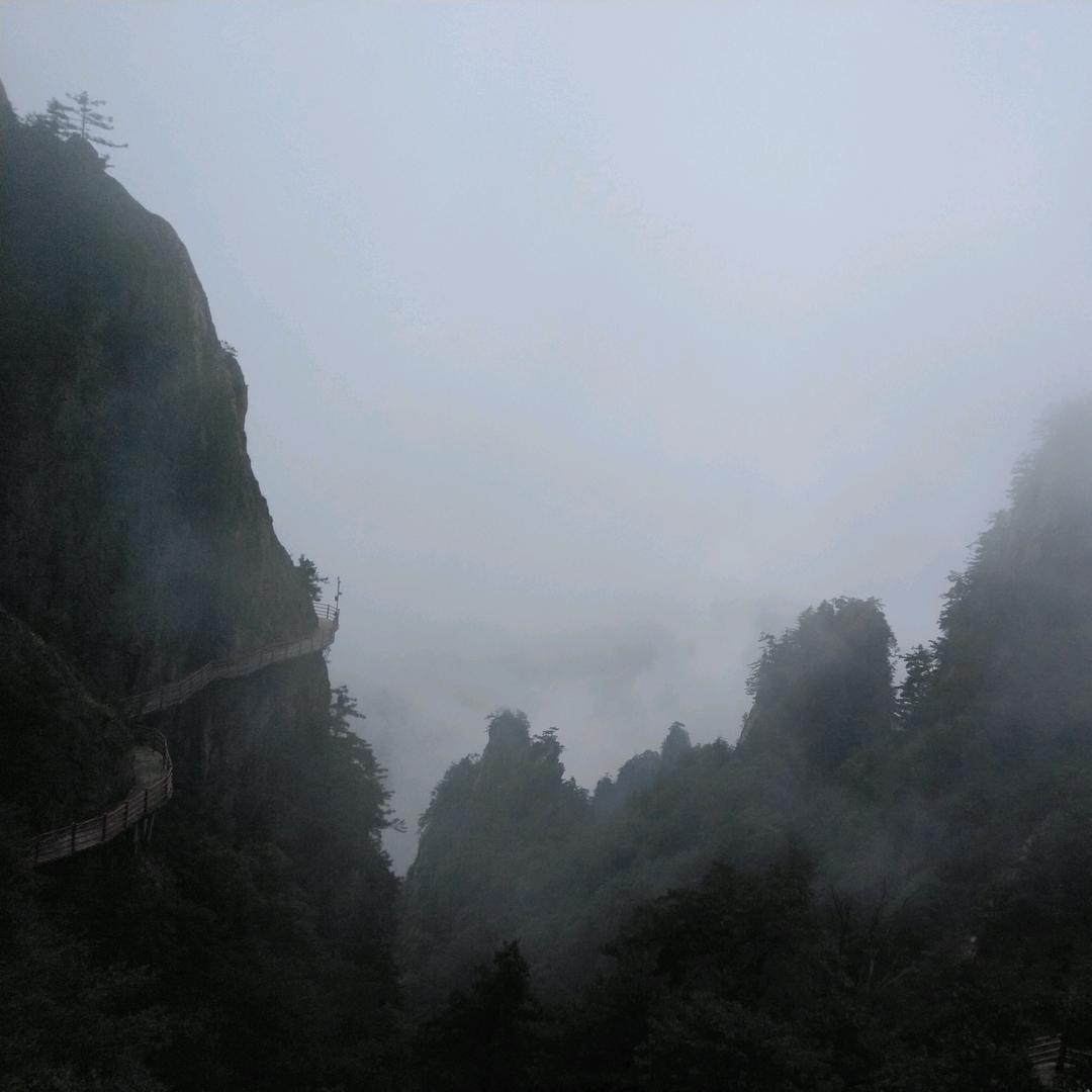 魏少年