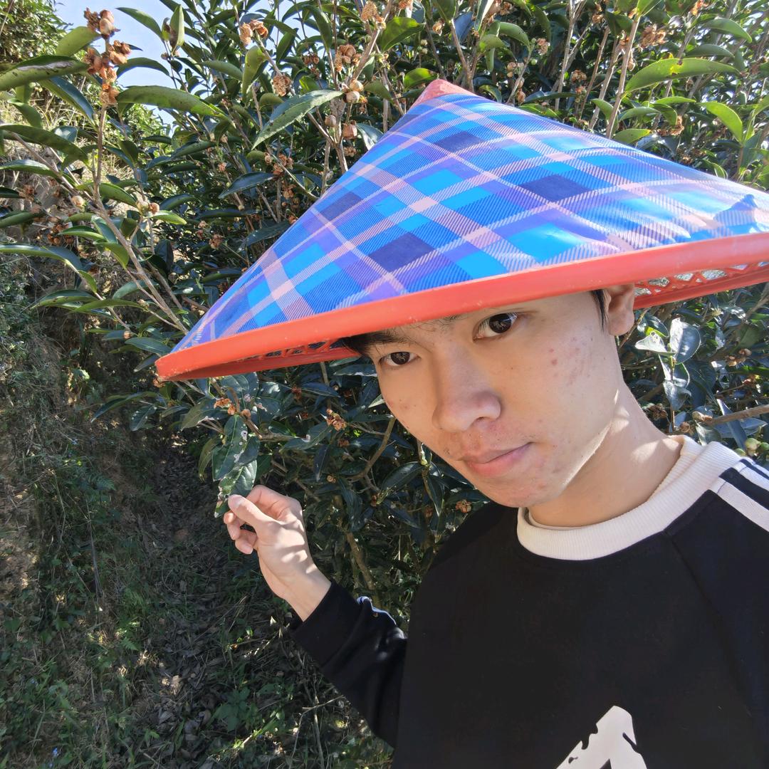 达茗不茶🍵
