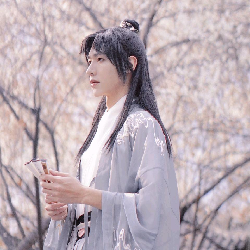 岚风.gif