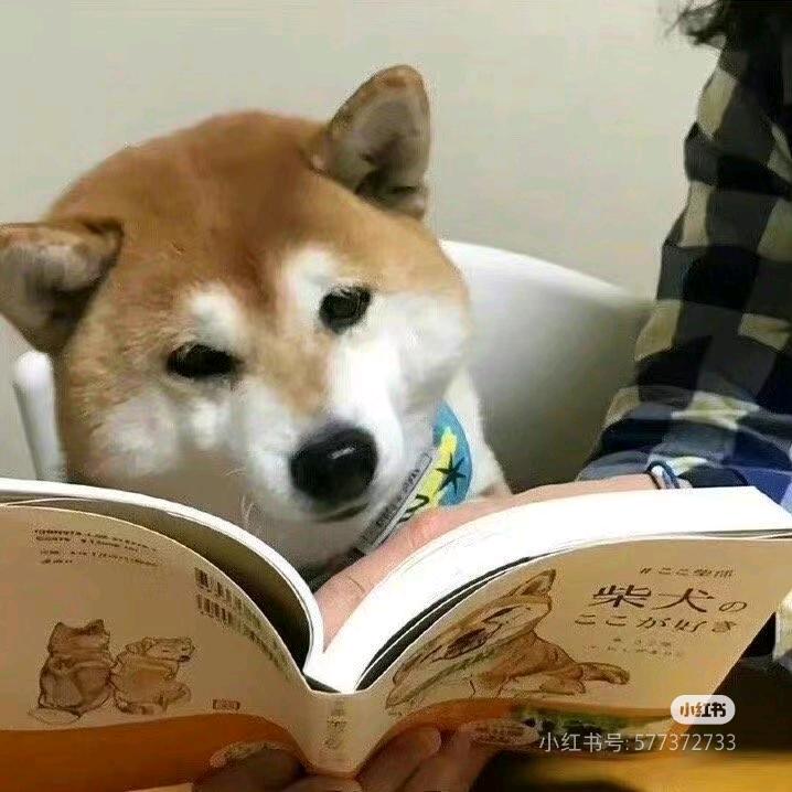Zzzzzz