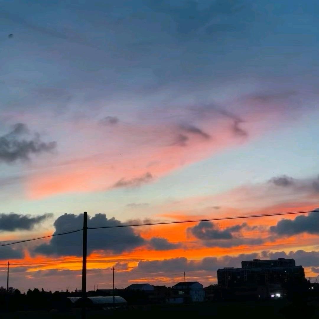 不羁的风🌙