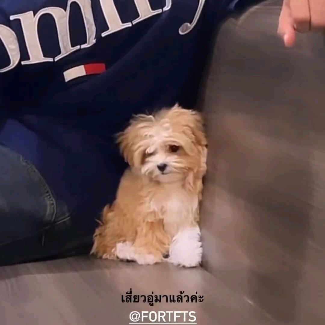 HhYyyy（上学很死版）