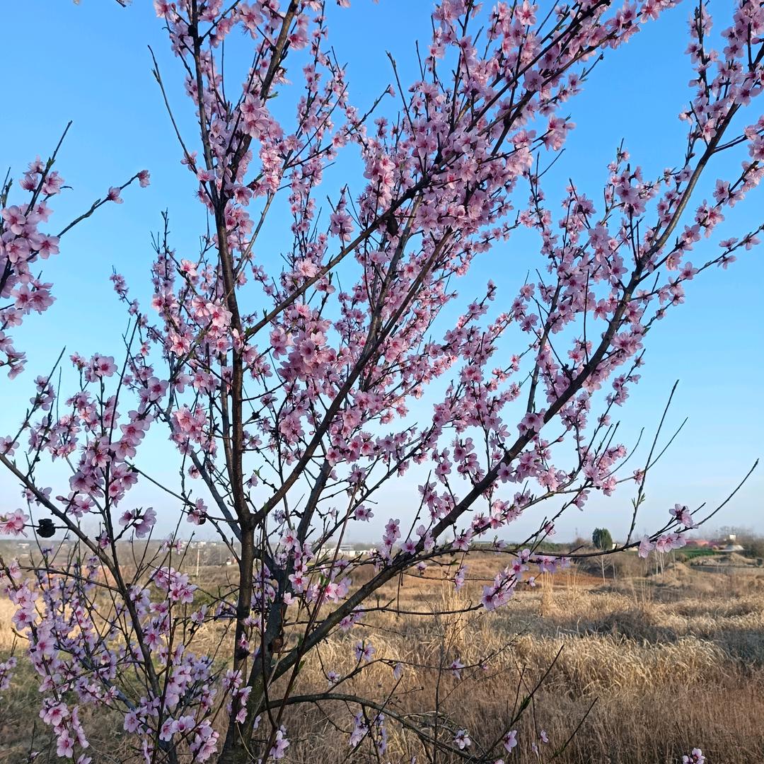 简筒单单做自己