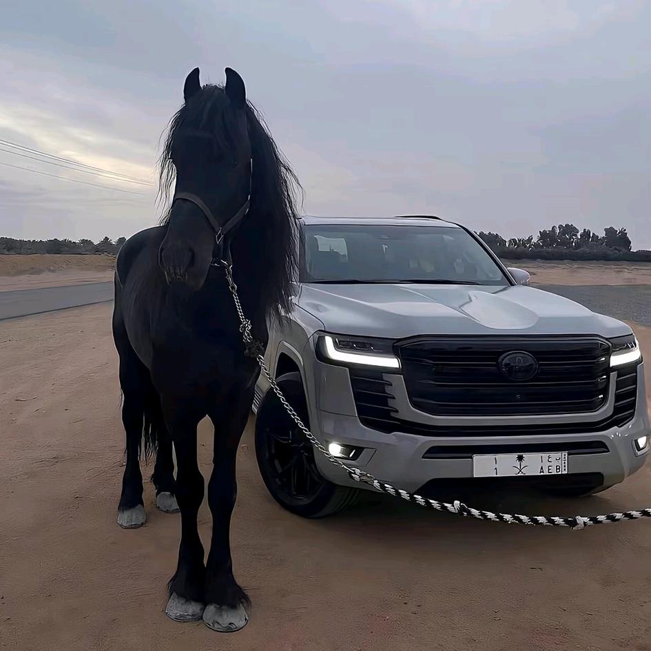 @朗庭商贸（二超）