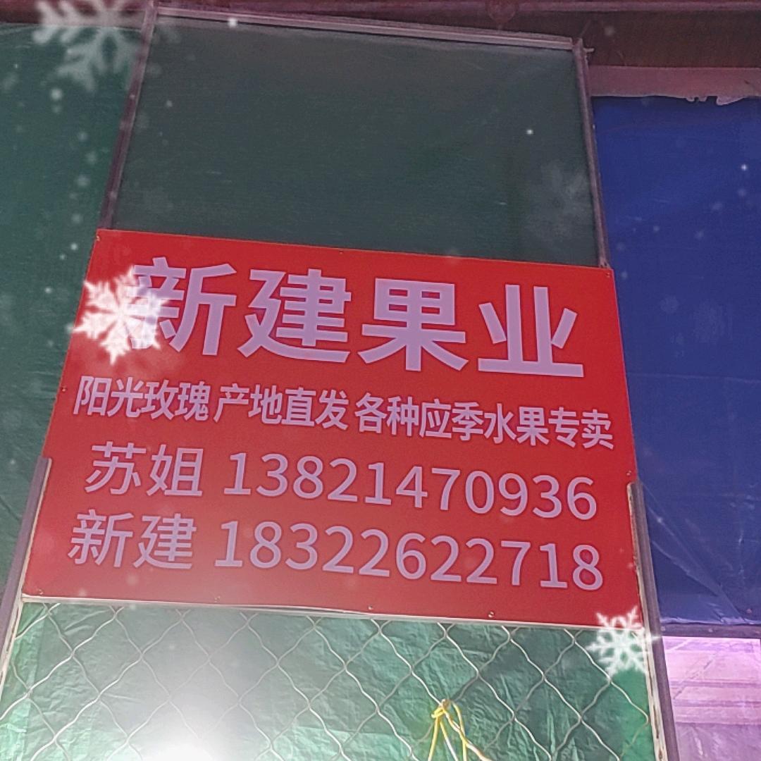 天津新建果业
