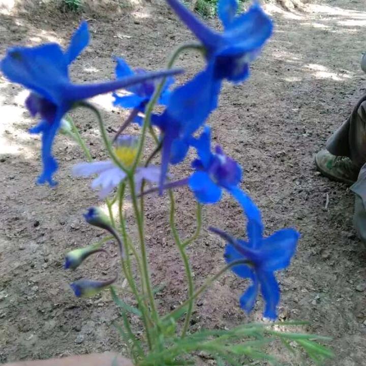 72🐭漂泊的灵魂