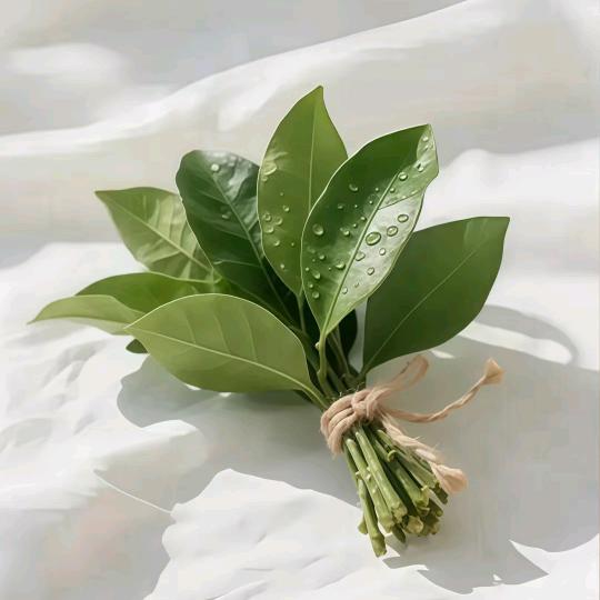 莹大钱生活创意屋