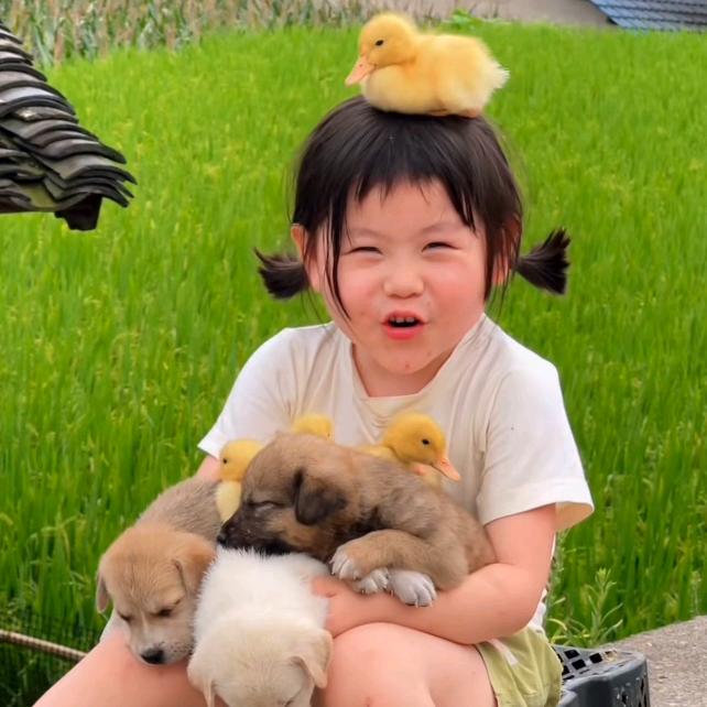 Nuyoah （字母反过来是好运）