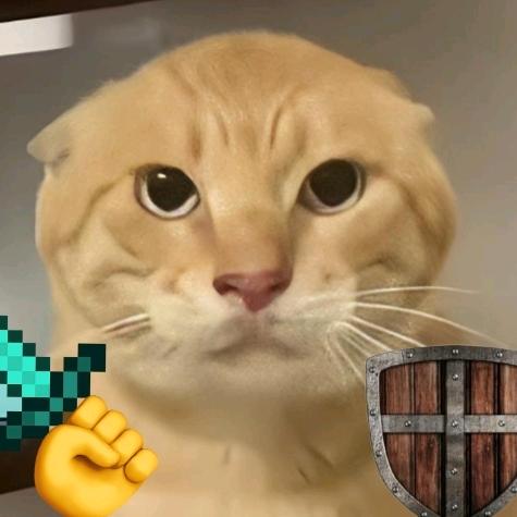 cheems诠释