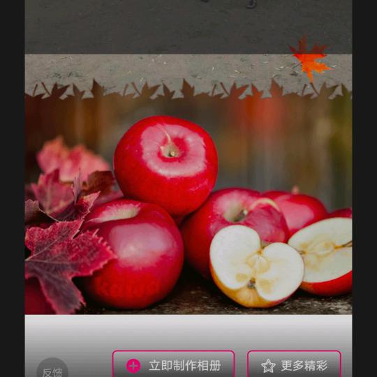 珠珠🌻