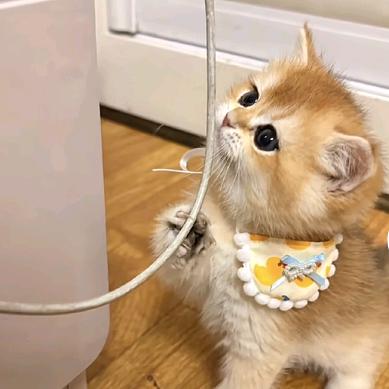 宁头像