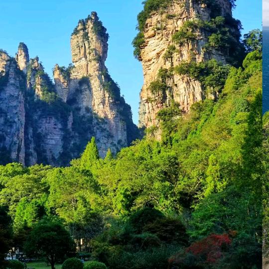 谢大哥