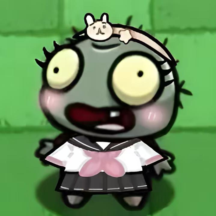 KT猫