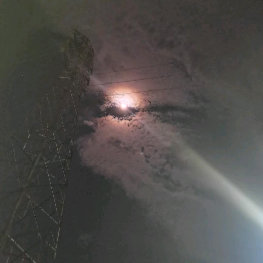 此去半生