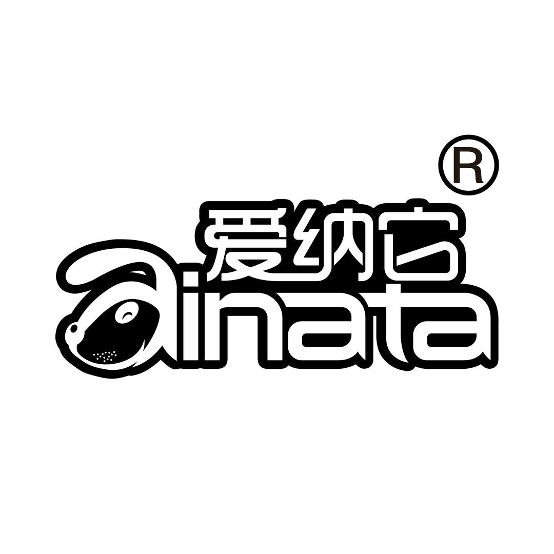 爱纳它官方旗舰店