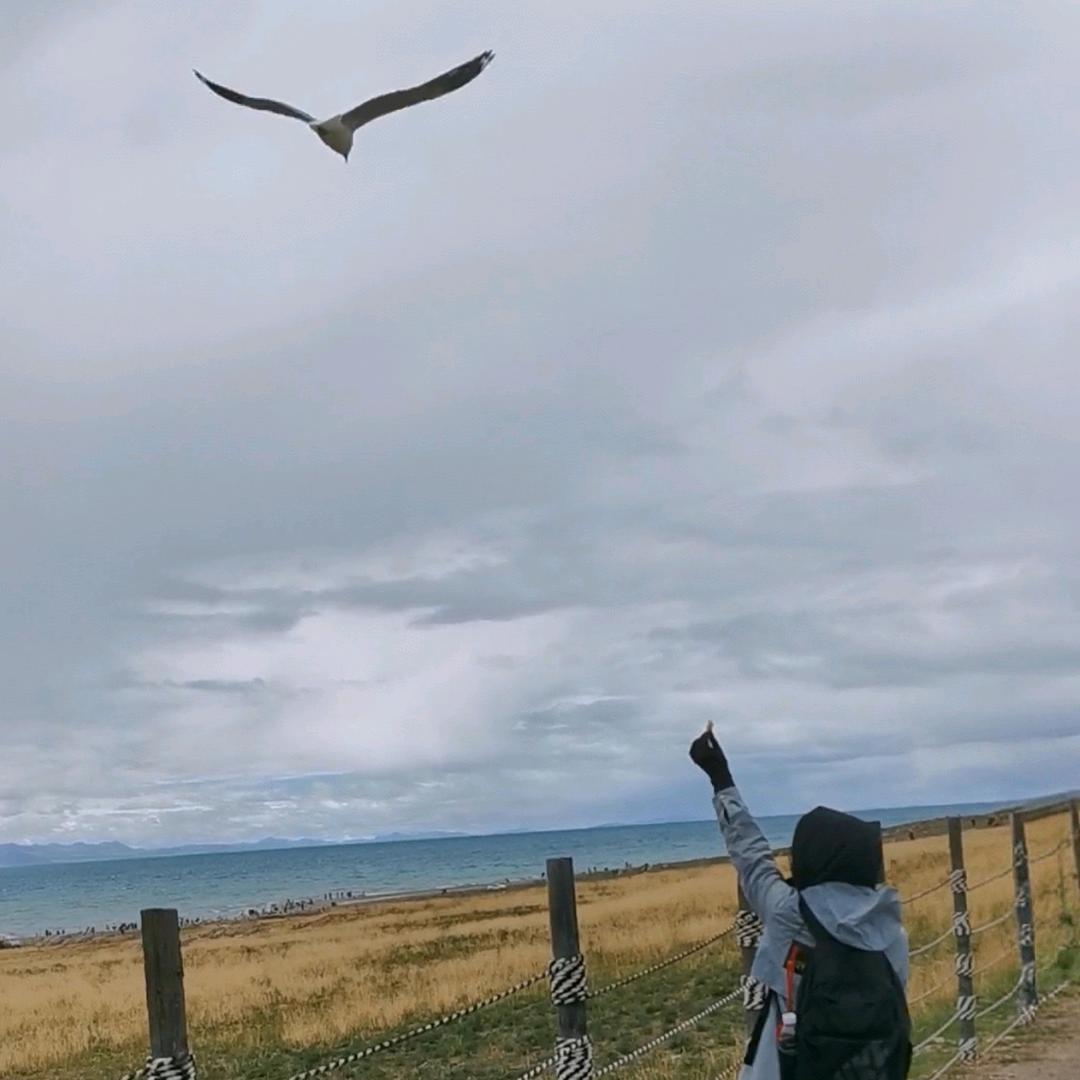 西游云海
