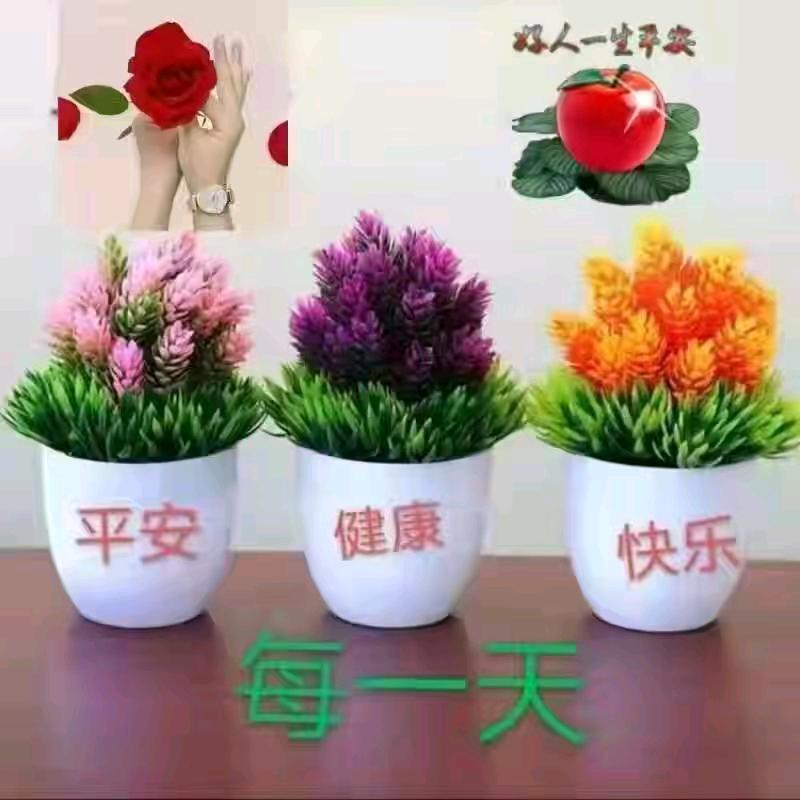 低调做人