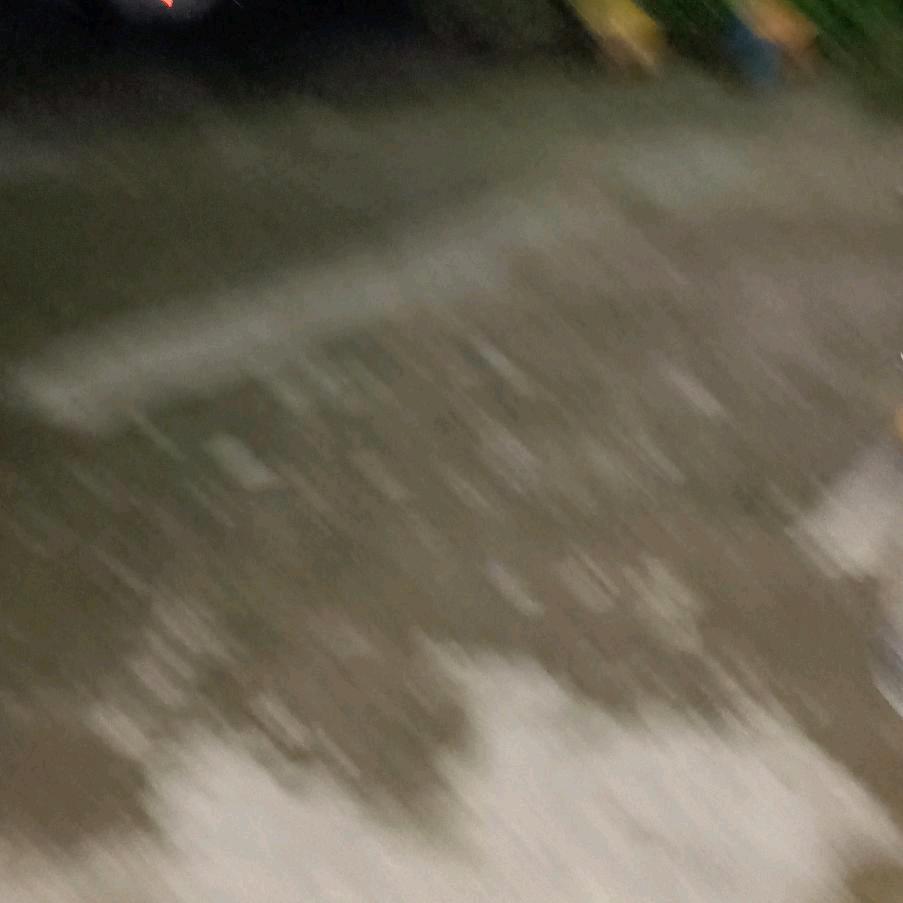 王丽