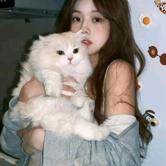 番茄丸子汤