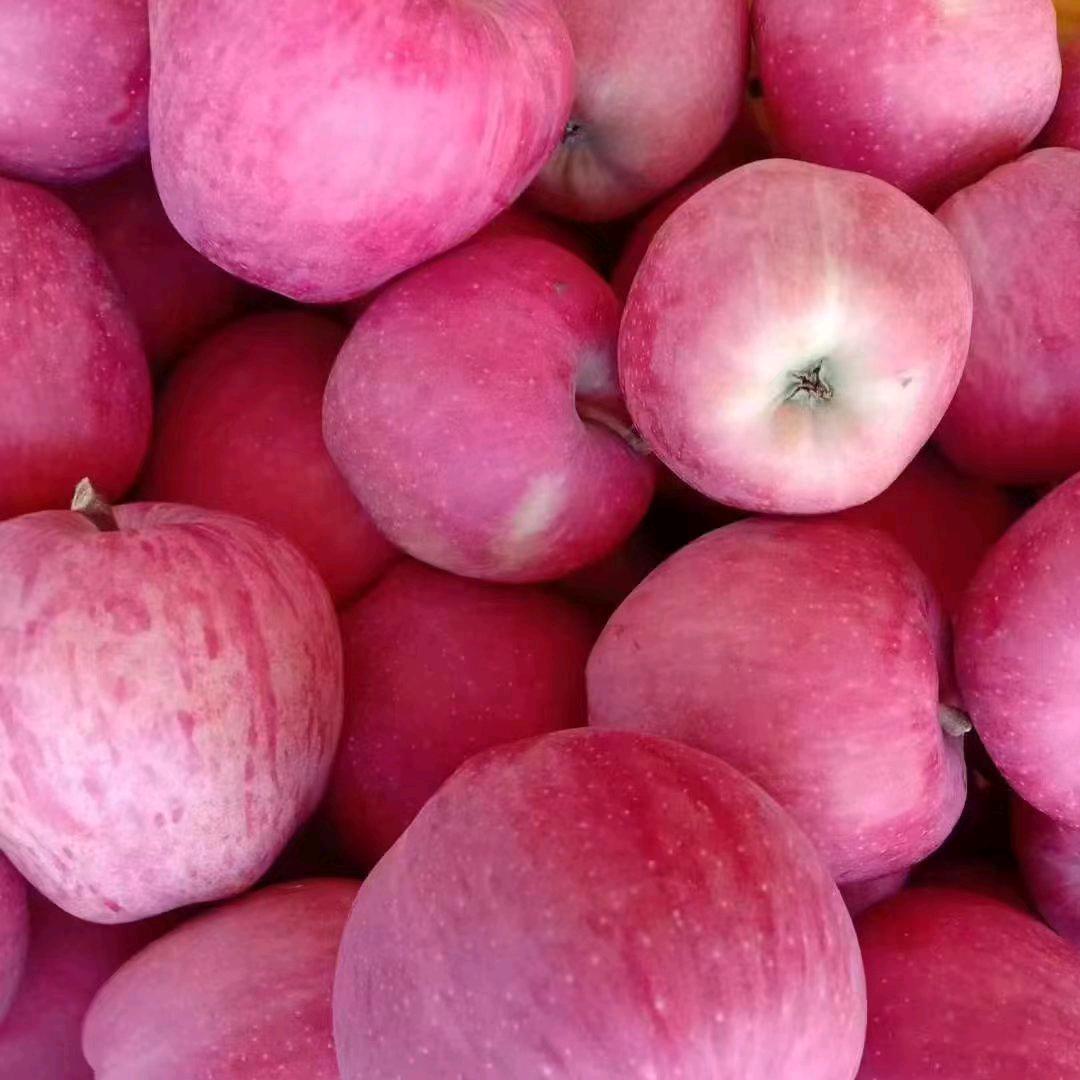 莱州市蜜源果业有限公司