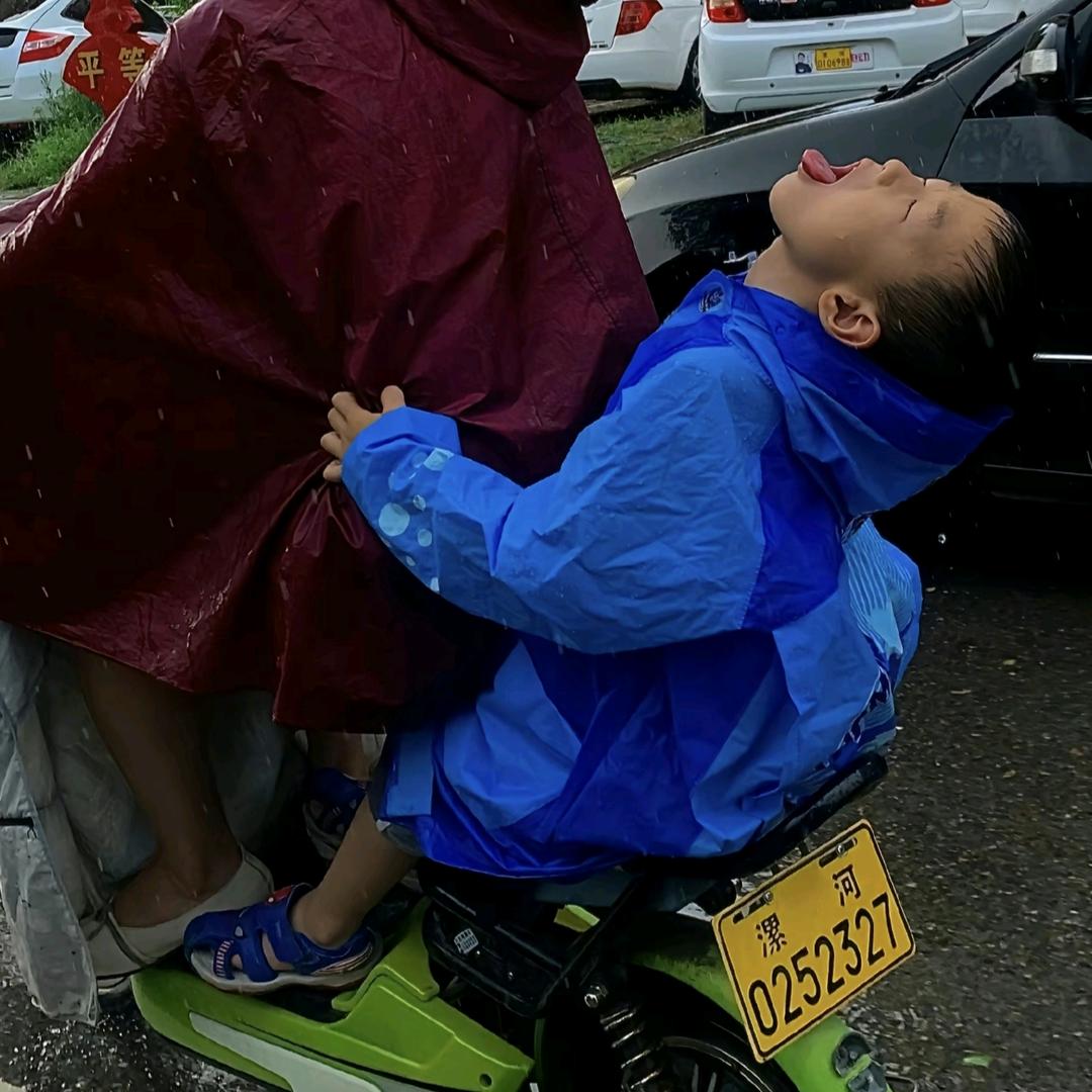 是呆锅啊