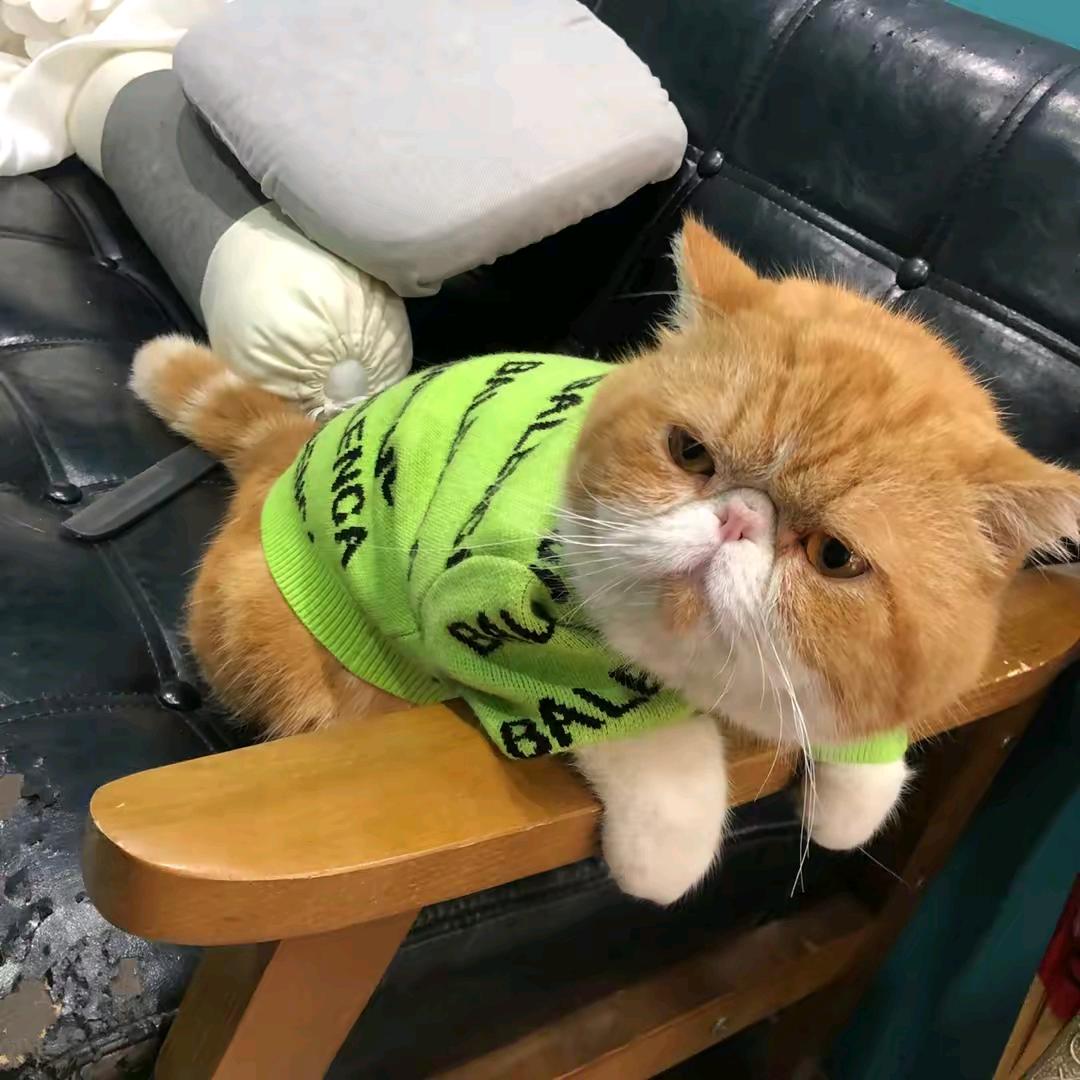 胜敏