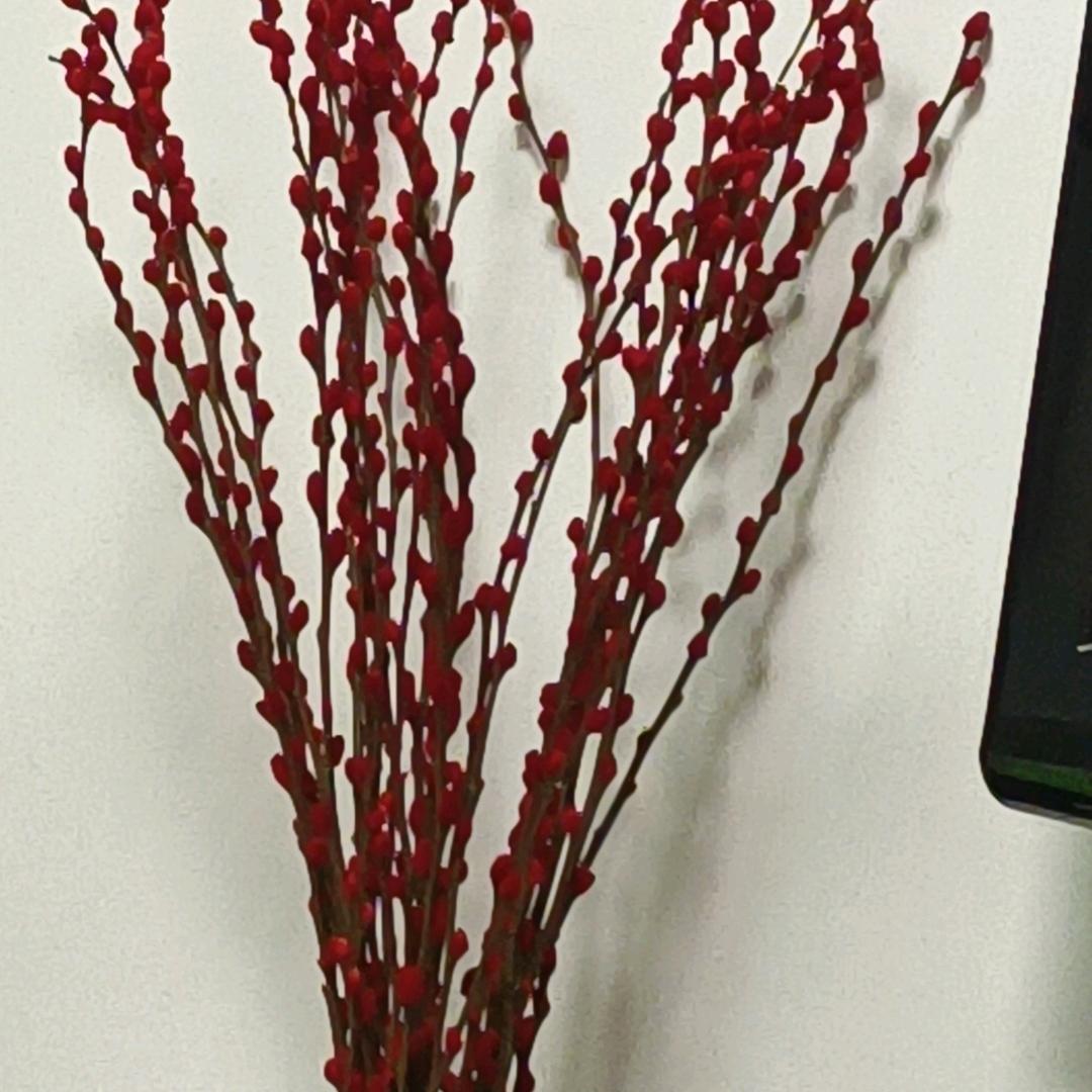 狼皮祆