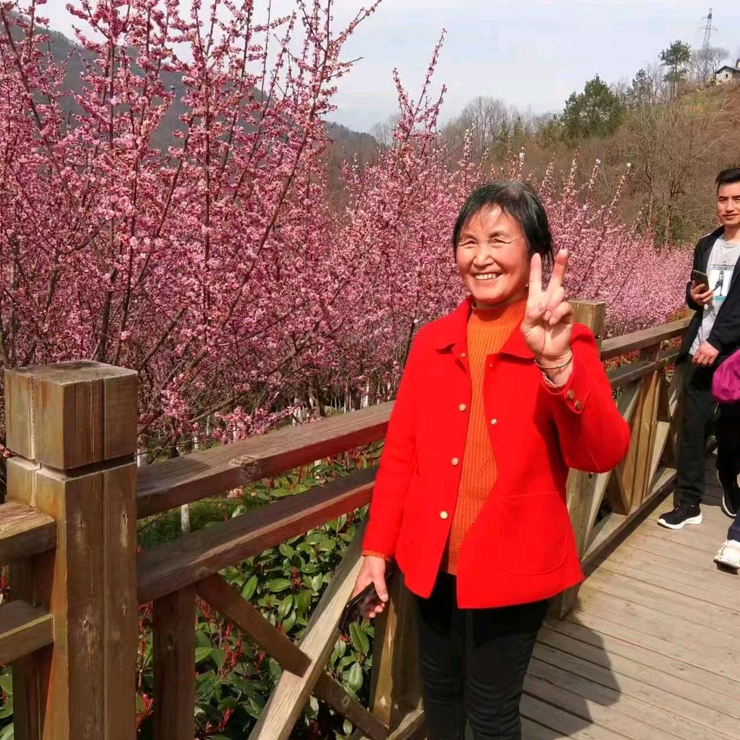 唐唐奶奶